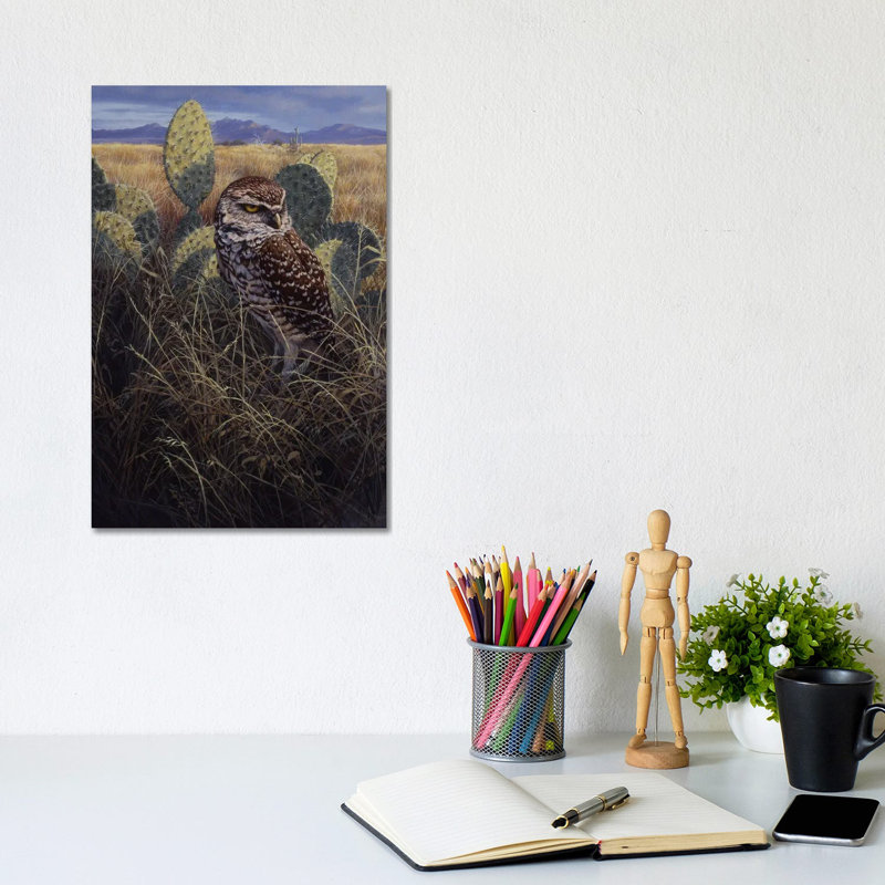 Burrowing Owl - impression d'art mural