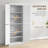 Storage Cabinet with Adjustable Shelf
