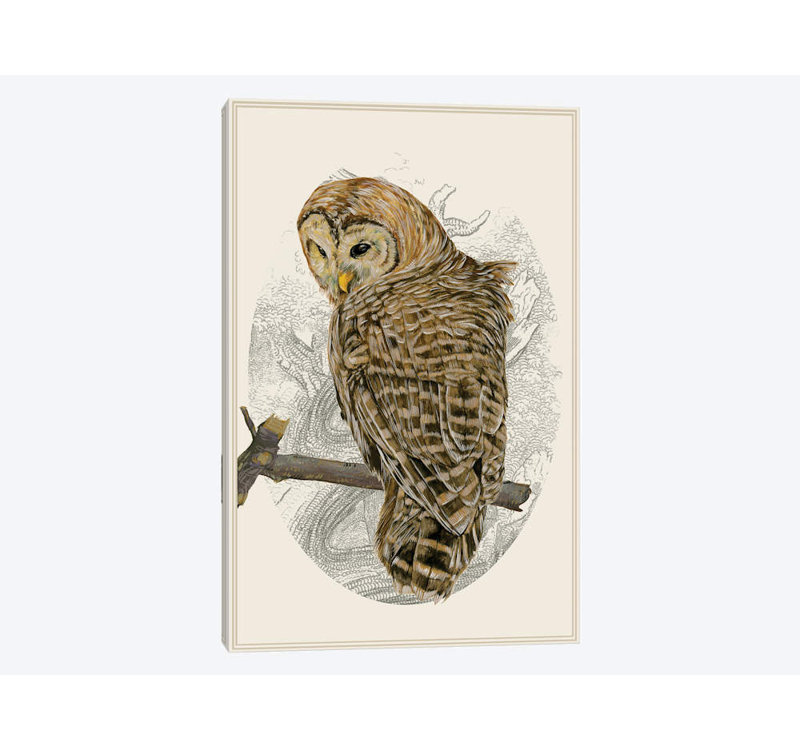 « barred hibou ii », impression sur toile, H 18 po x l 12 po x P 1,5 po