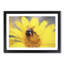 Bee Collecting Pollen in Abstract - Picture Frame Painting Print-55685871-55685875