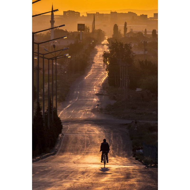 Wrapped Canvas Print, 76.2 cm H x 50.8 cm W