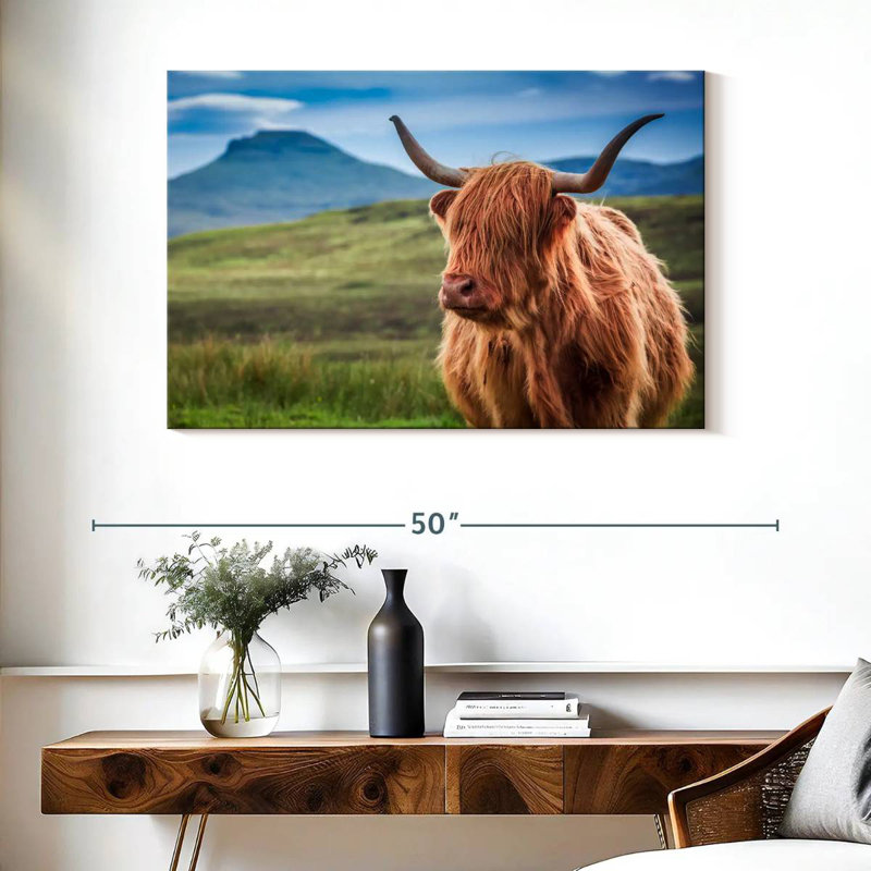 Vache Highland Brampt, H 26 po x l 39 po