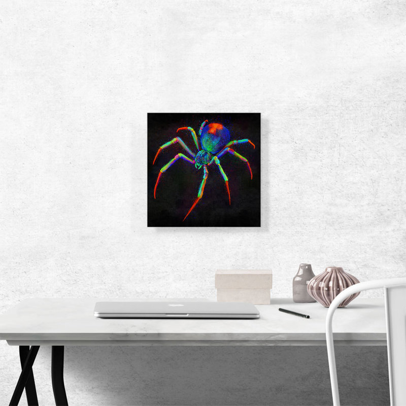 «Black Window Spider Web Arachnid», reproduction d'art graphique sur toile tendue, H 12 po x l 12 po x P 1,5 po