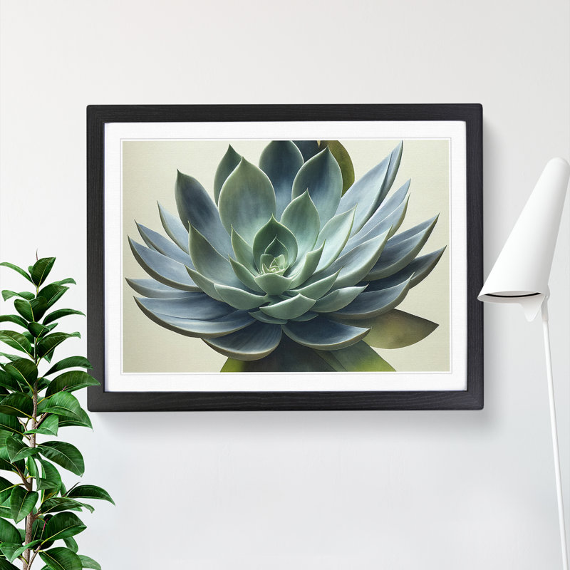 Watercolour Succulent Plant Vol.4 1 Piece Single Picture Frame Wall Art, 46cm H x 64cm W, Black