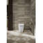 Leap™ One-Piece Elongated Smart Toilet, Dual-Flush