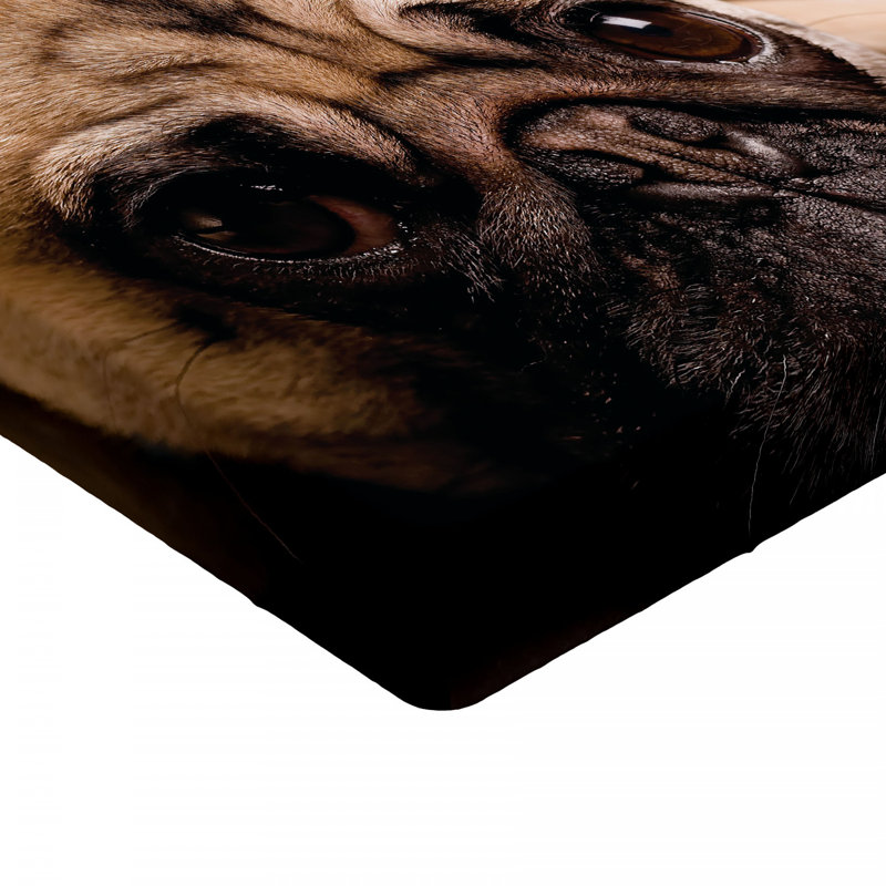 Microfiber Fitted Sheet, Full Fitted Sheet