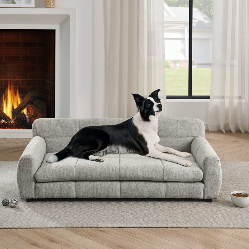 Lit pour animaux avec coussin moelleux, Beige