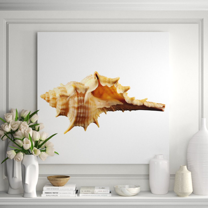Sea Shell Horn Print, 46" H x 46" W x 2.5" D, Aluminum