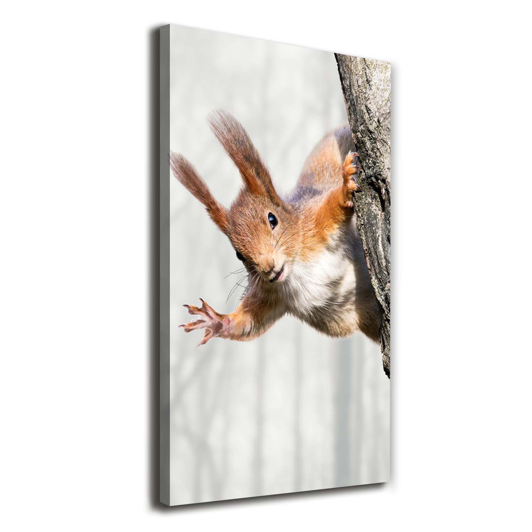 Eichhörnchen auf dem Baum - Wrapped Canvas Art Print