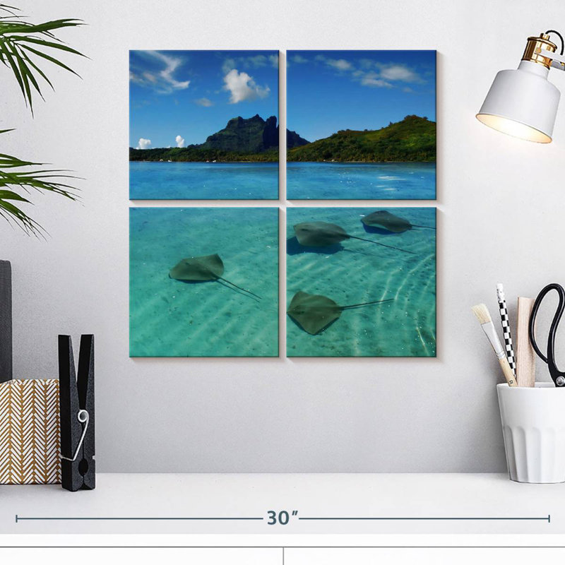 Brampt Bora Bora Stingrays, 18" H x 18" W