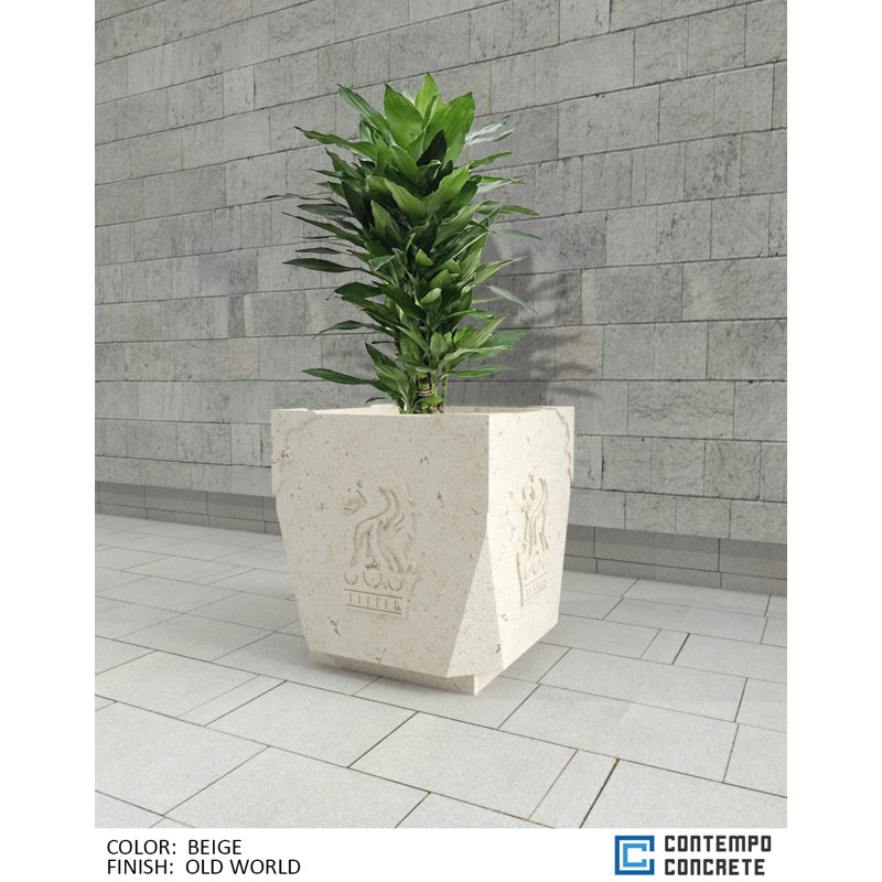  Jardinière royale, Beige Ancien Monde