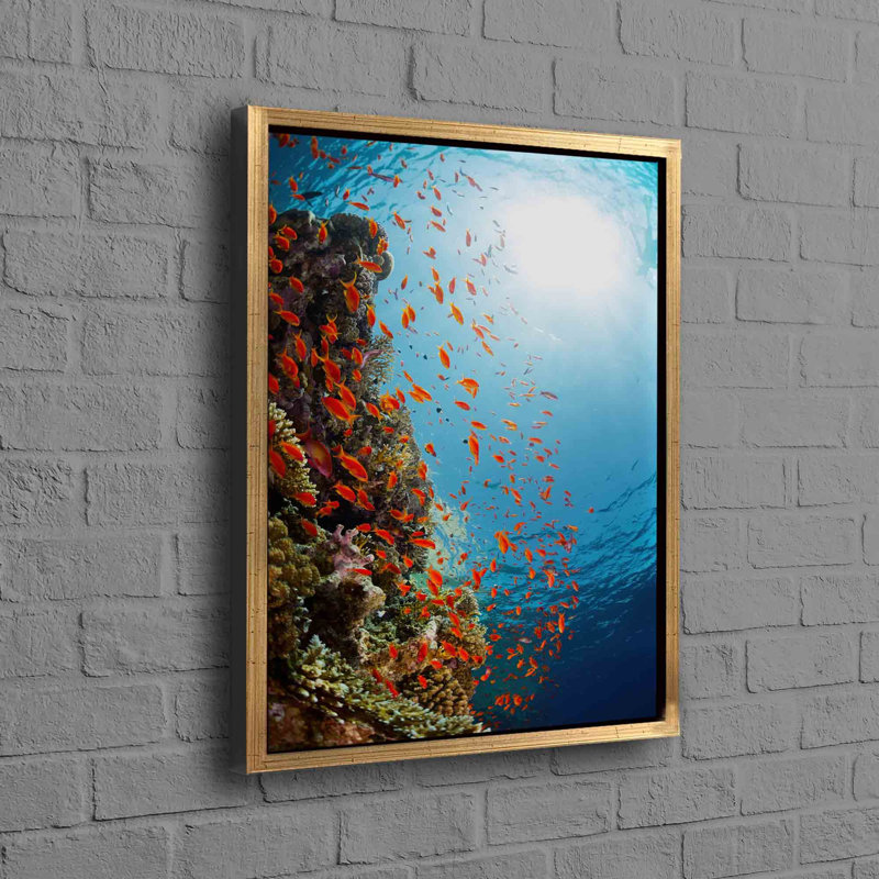 Print on Canvas, Framed Print without Mat, Gold, 35cm H x 25cm W