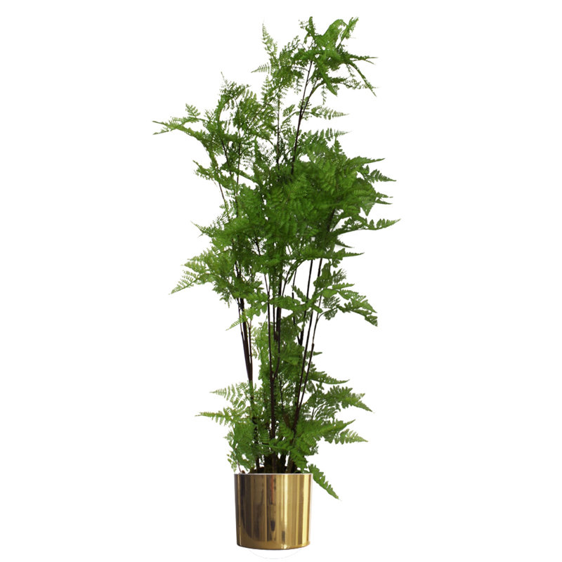 150cm Faux Moss Tree in Metal Planter, Gold