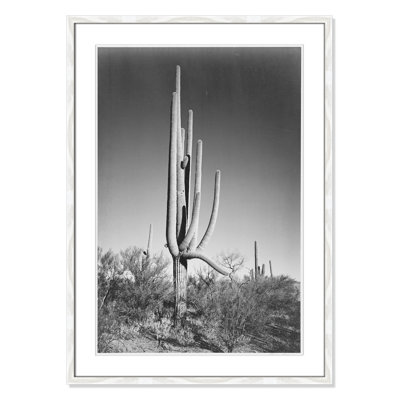 Saguaro National Monument Print by Ansel Adams