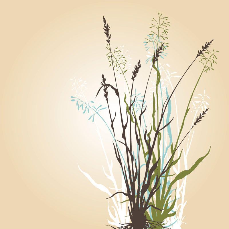 Illustration de l'herbe par Cat_Arch_Angel, H 30 po x l 30 po
