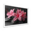 Décoration murale rose et gris fuchsia - Fuschia-31028680-31028727