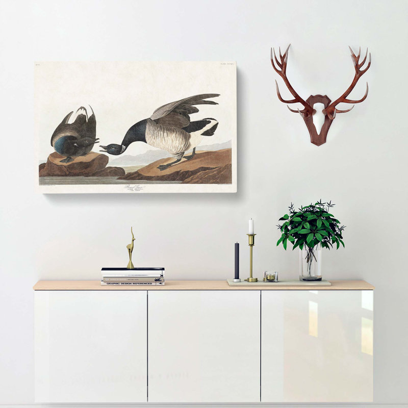 Brant Geese by John Audubon - Wrapped Canvas Painting, 35cm H x 50cm W x 3cm D