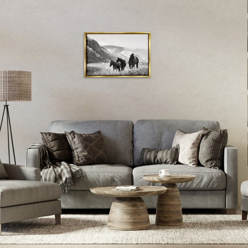 «Horse Trio on Mountainside», art mural encadré par Danita Delimont, H 17 po x l 25 po, Cadre flottant métallique doré