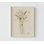 Reproduction florale beige, affiche encadrée de fleurs dans un pot, affiche d'art nature, impression de fleur délicate, impression de cadeau de fleuriste, art mural encadré