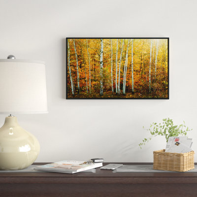 " Yellow Colorful Autumn Forest "