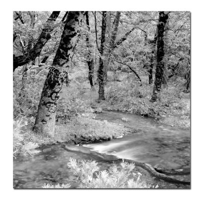 " Yosemite " by Preston