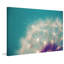 «Pissenlit» par Sylvia Cook - impression sur toile tendue-1186005306