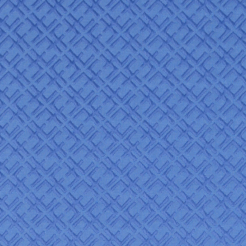 Tissu Tobi Fairley, Cobalt