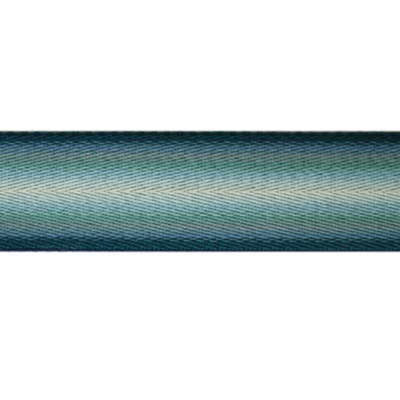 Ombre Fabric