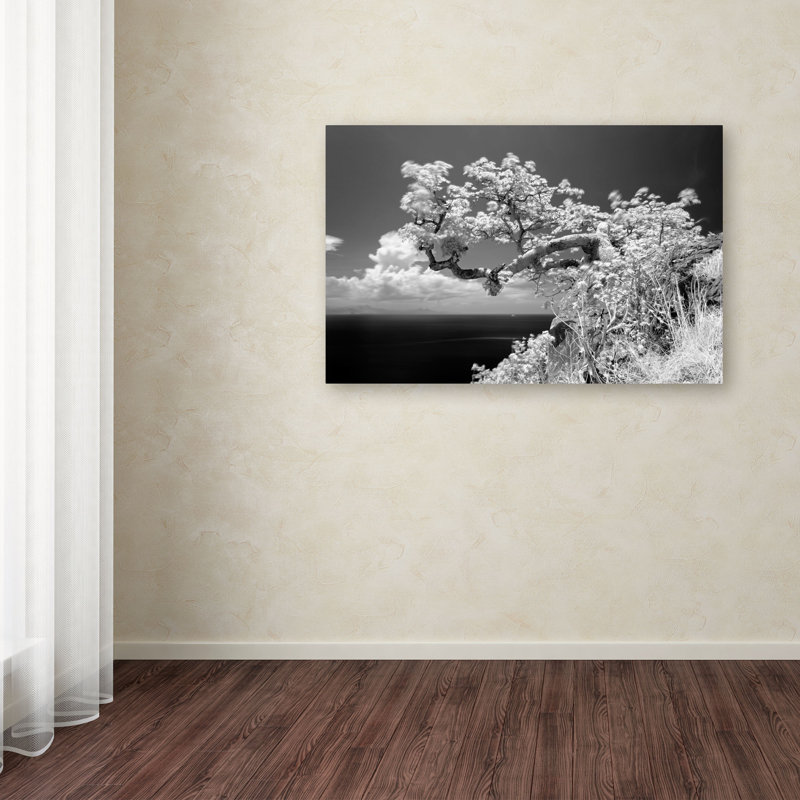 « intime », reproduction de photo sur toile tendue, H 22 po x l 32 po x P 2 po