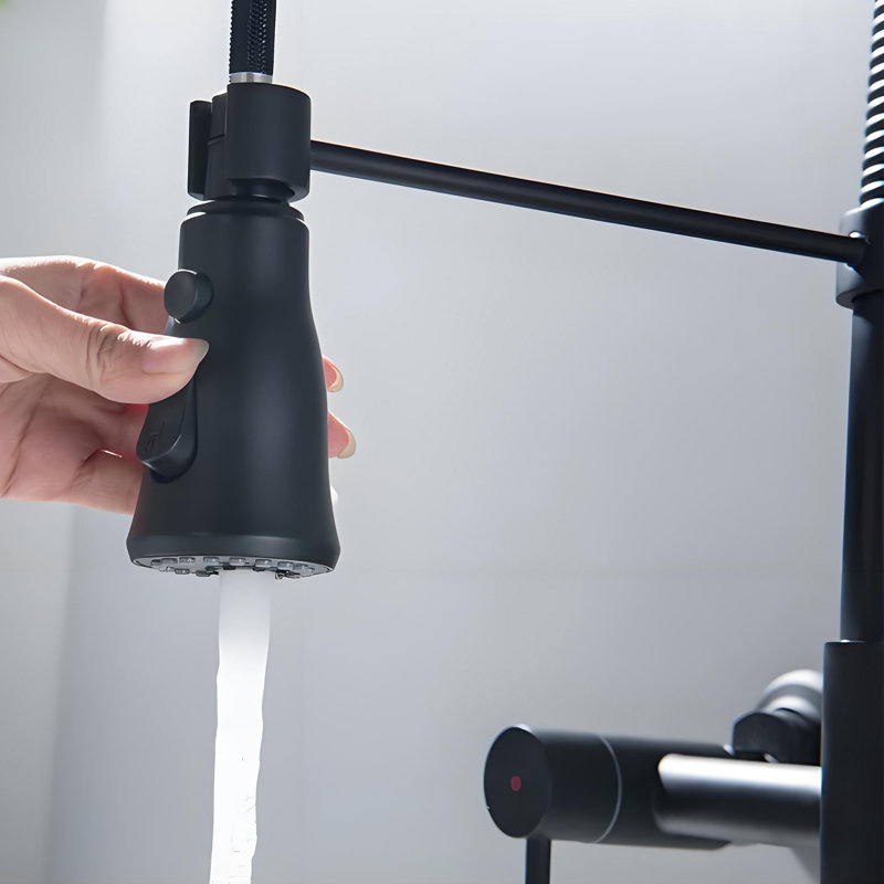 Dilon Pull Down Kitchen Faucet, Black