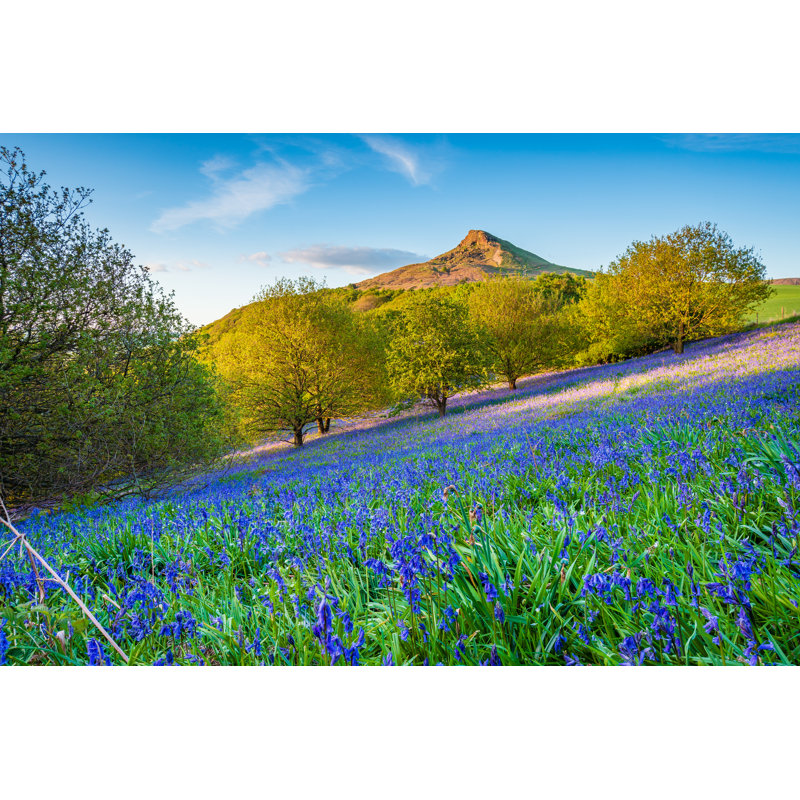 Bluebell Slope And Roseberry by Daverhead - Wrapped Canvas Print, 30cm H x 46cm W