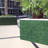 19.68'' H x 19.68'' W Green Polyethylene Fencing