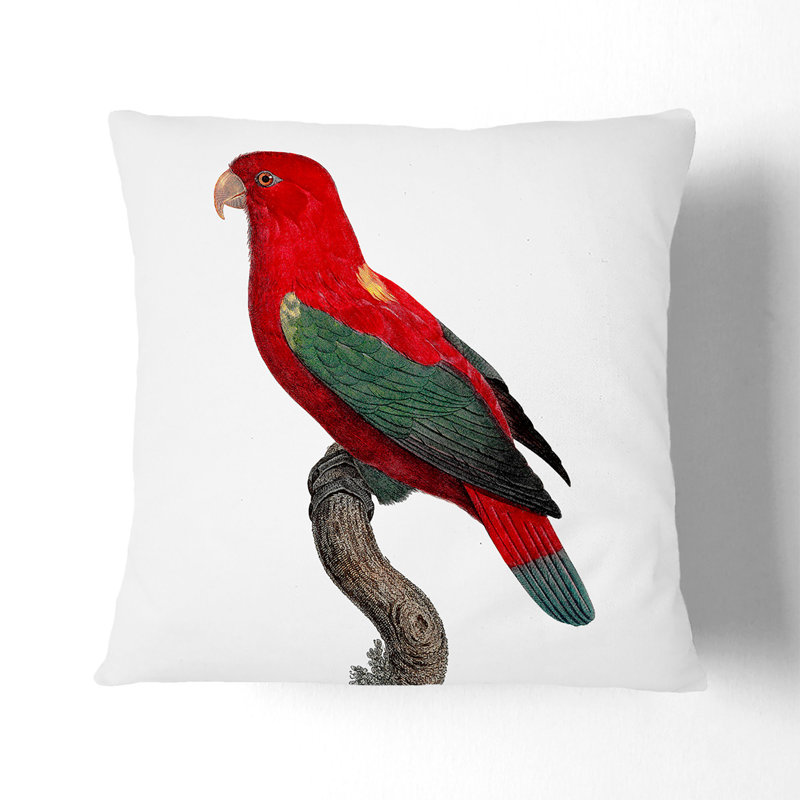 Square Throw Cushion, 55cm H x 55cm W x 20cm D