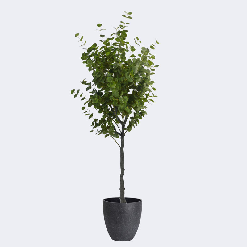 Pots ronds en résine artificielle avec plateau d'eucalyptus artificiel et résine, Noir, H 19,69 po x l 70,87 po x P 19,69 po