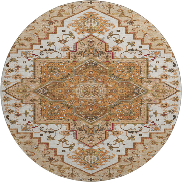 Premium Machine Washable Corum AMF1036 Oriental Rug