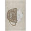 Tapis de Noël de qualité supérieure lavable à la machine Dream Shag ADS218-508285848