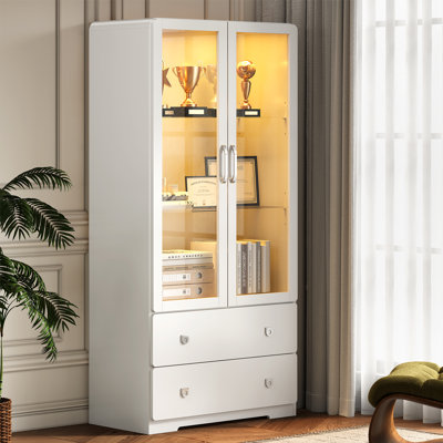 64'' Tall Display Cabinet With Acrylic Doors And LED Lights