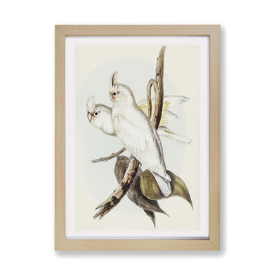 Blood-Stained Cockatoos - Framed Print