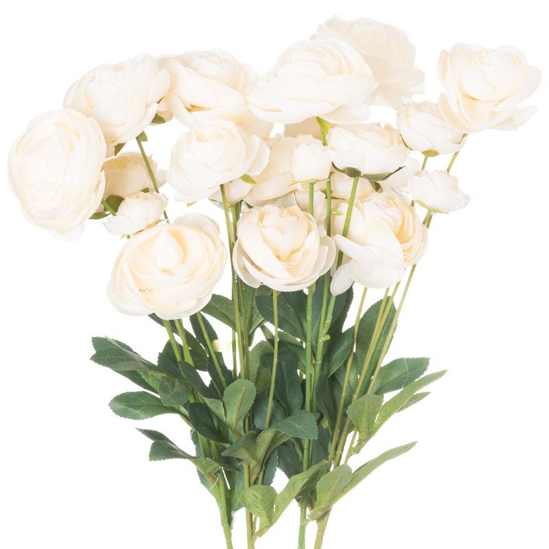 Ranunculus Arrangement