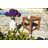 Berryessa Teak Coffee Table