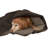 Pet Blanket-38627401-38627404
