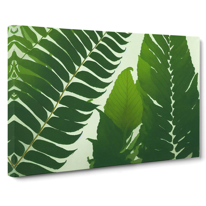 Contoured Fern Leaf - Wrapped Canvas, 35cm H x 50cm W x 3cm D