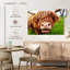 Vache Brampt-108816416