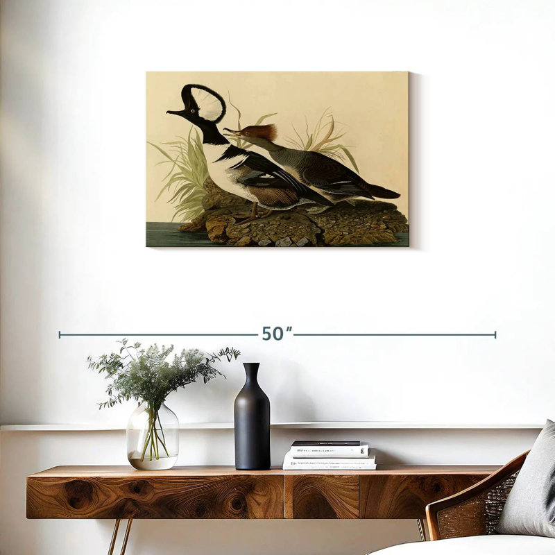 Hooded Merganser, 20" H x 30" W