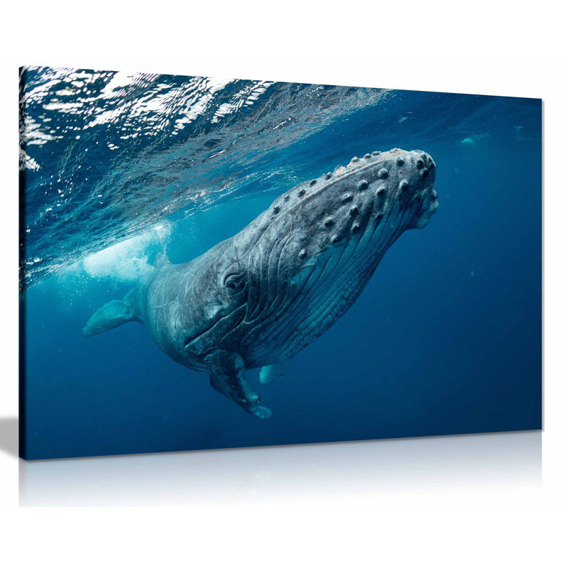 Humpback Whale Ocean - Wrapped Canvas Print, 61cm H x 91cm W