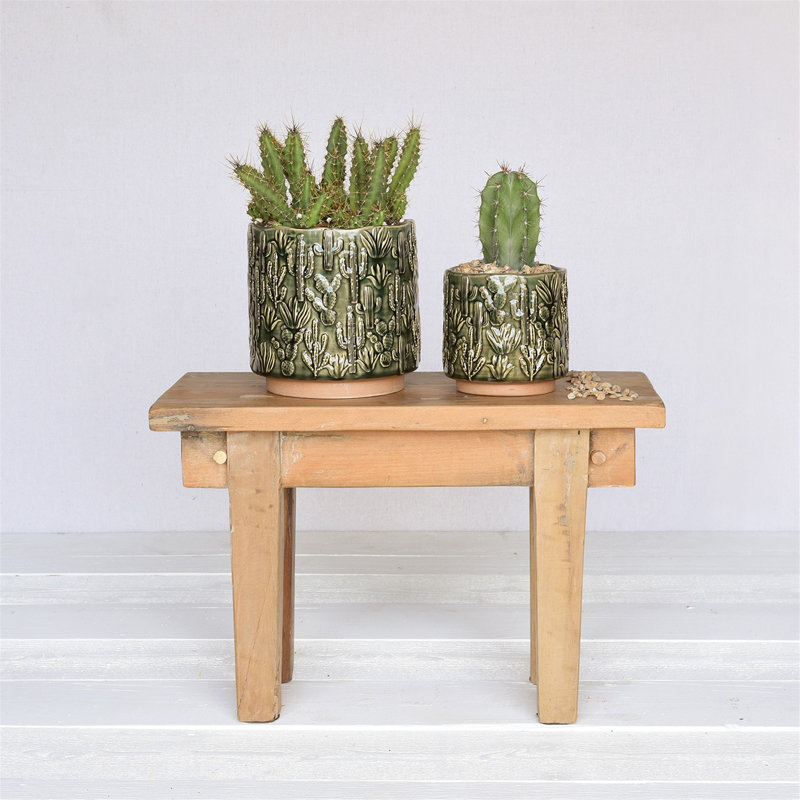 Barba Ceramic Cactus Cachepot, 5" H x 5" W x 5" D