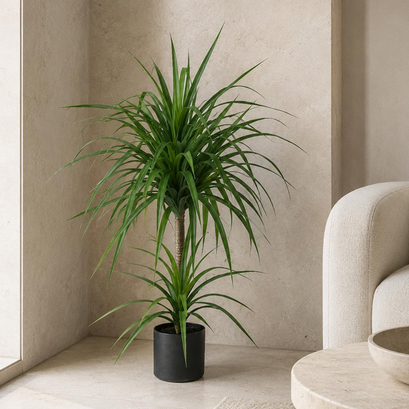 Annitte Faux Palm Tree in Pot Liner, 90cm H x 60cm W x 60cm D