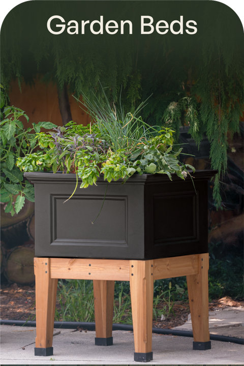 Garden Beds