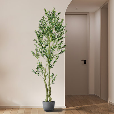 Olive artificielle 7 pi