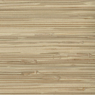 Papier peint vichy 24 'x 36 "Greater Taree Grasscloth